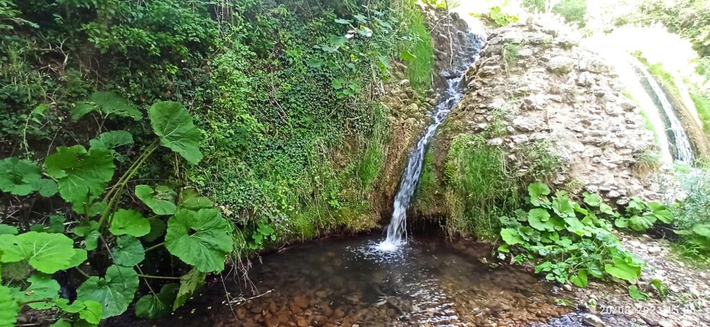 Fiume Rio Petescia - piccolo rio