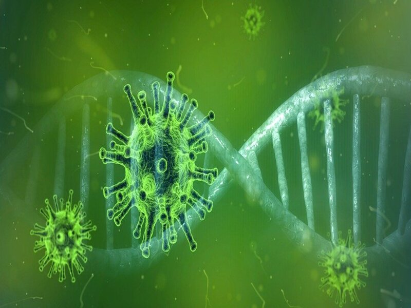 Paura Del Coronavirus