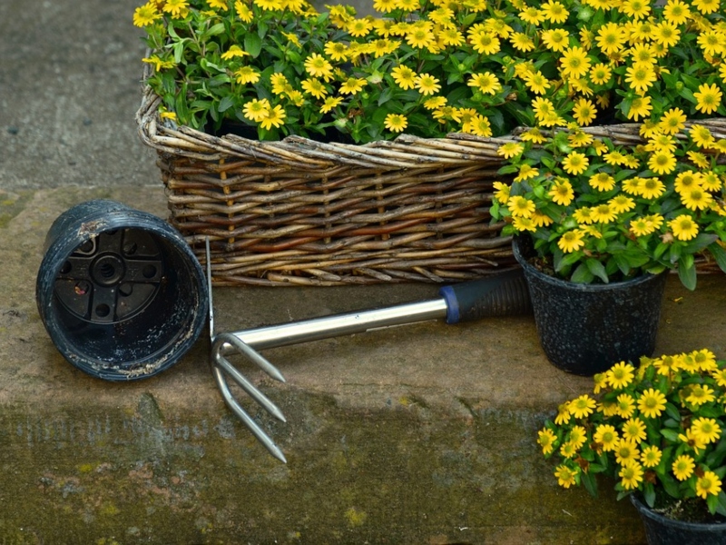 Lavorare In Giardino