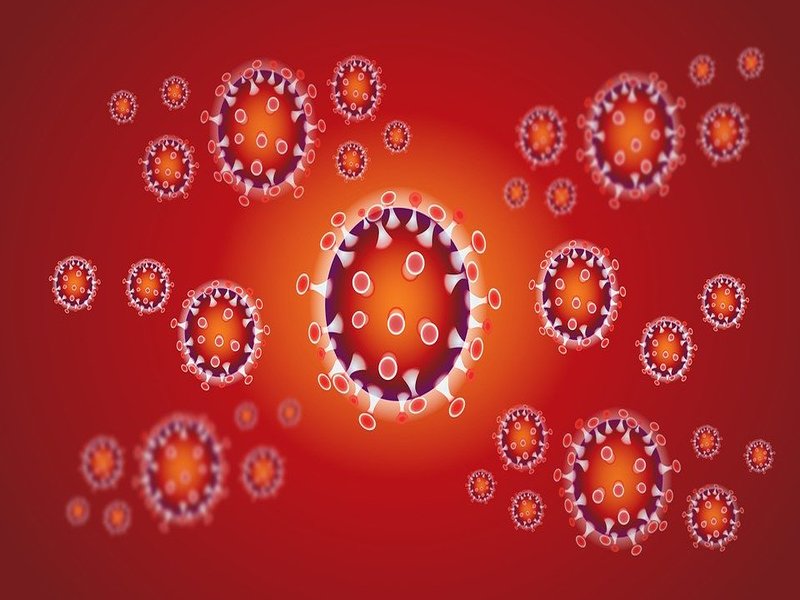 Virus Letale
