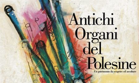 Antichi Organi Del Polesine 3