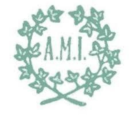 Logo Ami