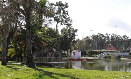 Parco Alvalade - vista