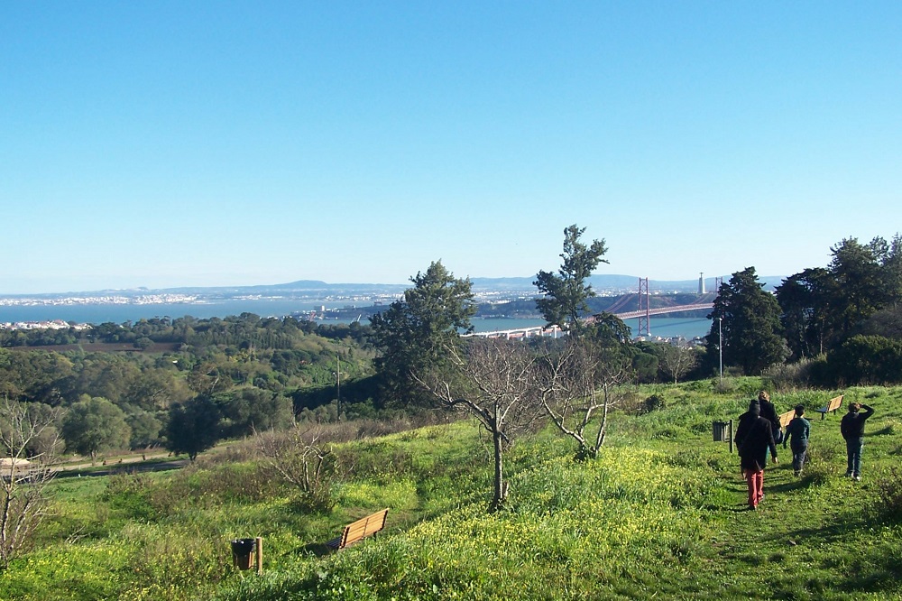Parco Forestale Monsanto - Vista