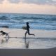 spiagge dog-friendly - Cane In Spiaggia