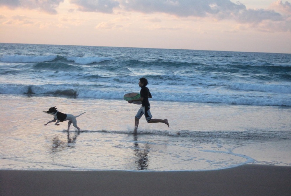 spiagge dog-friendly - Cane In Spiaggia