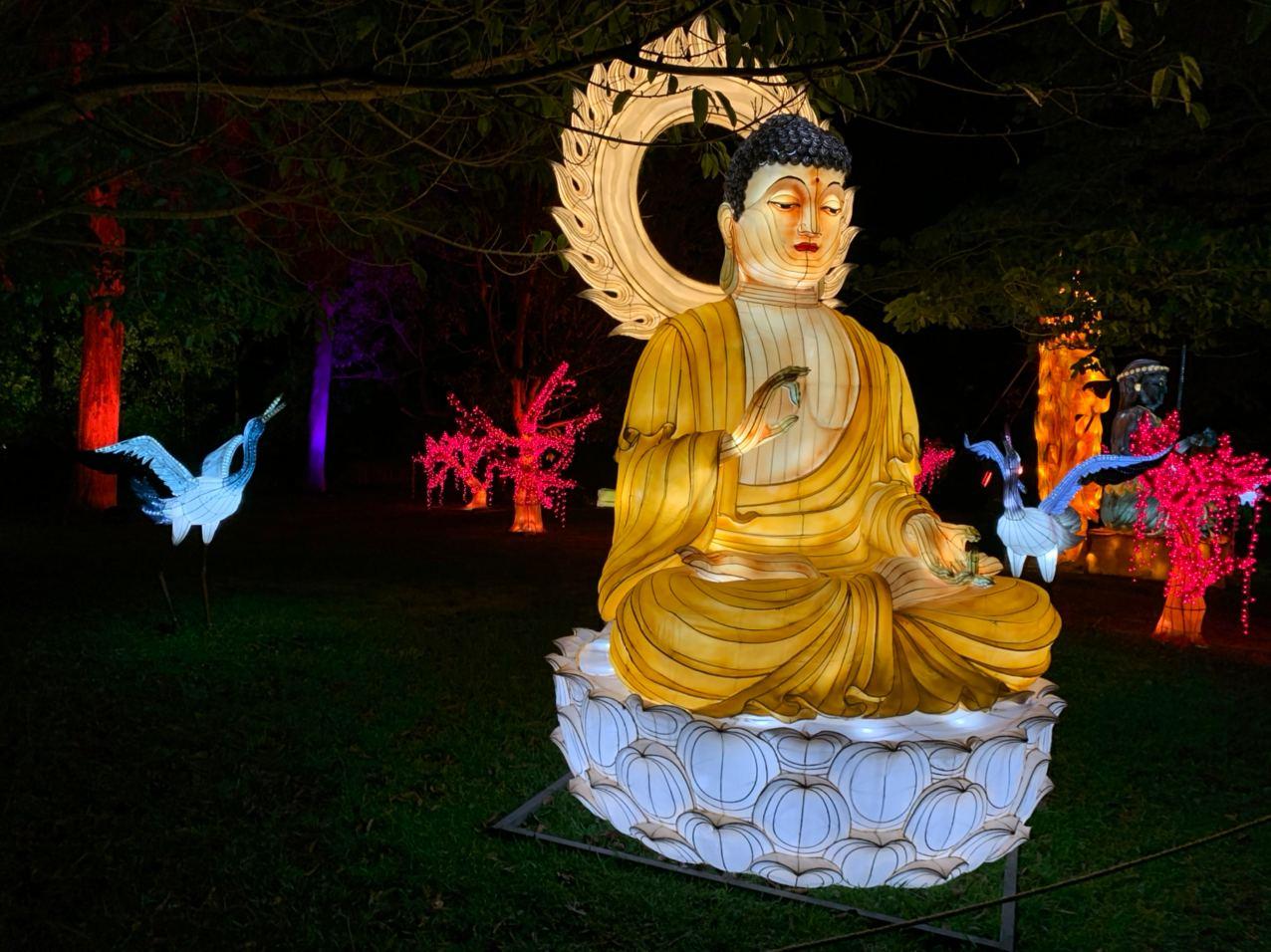 Buddha e cicogne - Magical Garden