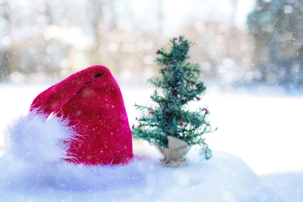 Gli alberi di Natale un albero in miniatura