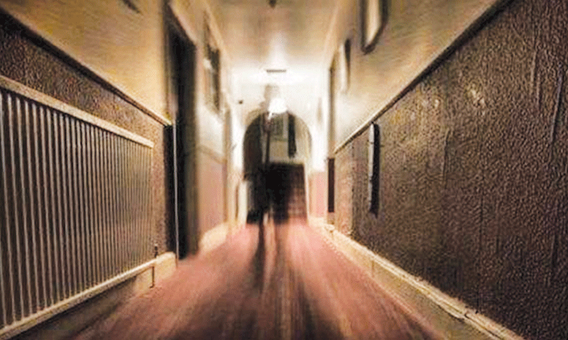 Langham Hotel - corridoio del Langham Hotel con Fantasma Dawn