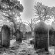 Vampiro Di Highgate - foto di un cimitero