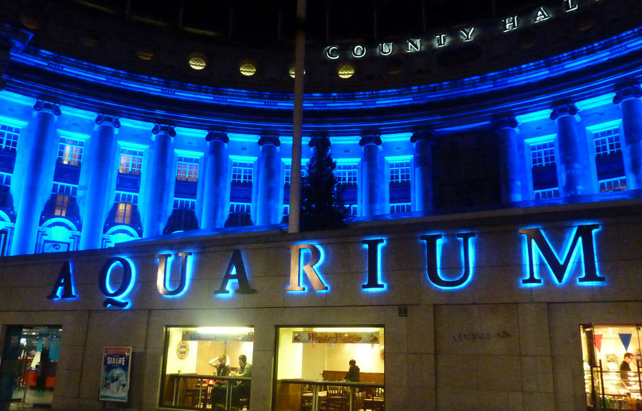 Acquario Di Londra illuminato con luci blu