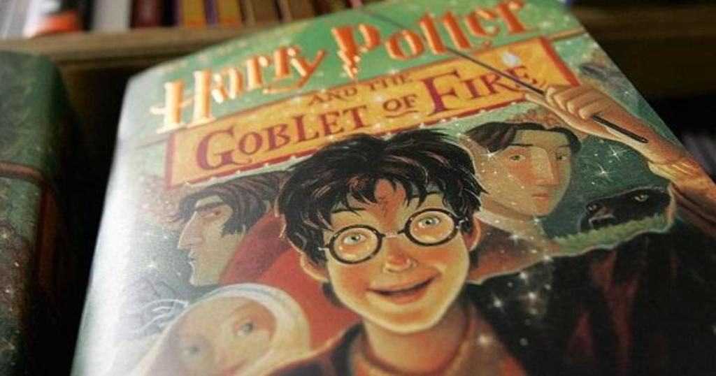 Harry Potter - Libro sul mago