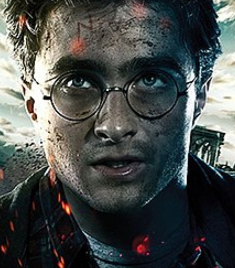 Harry Potter - il Protagonista