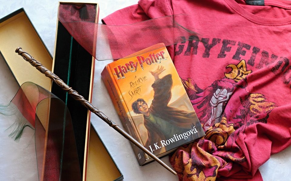 Leggere Harry Potter - libro di Harry Potter
