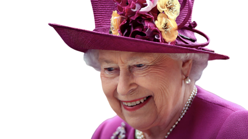 la regina - immagine della  Sovrana in viola