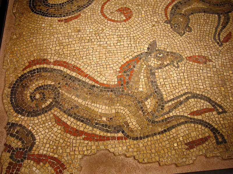 Bannaventa - mosaico di Ippocampo
