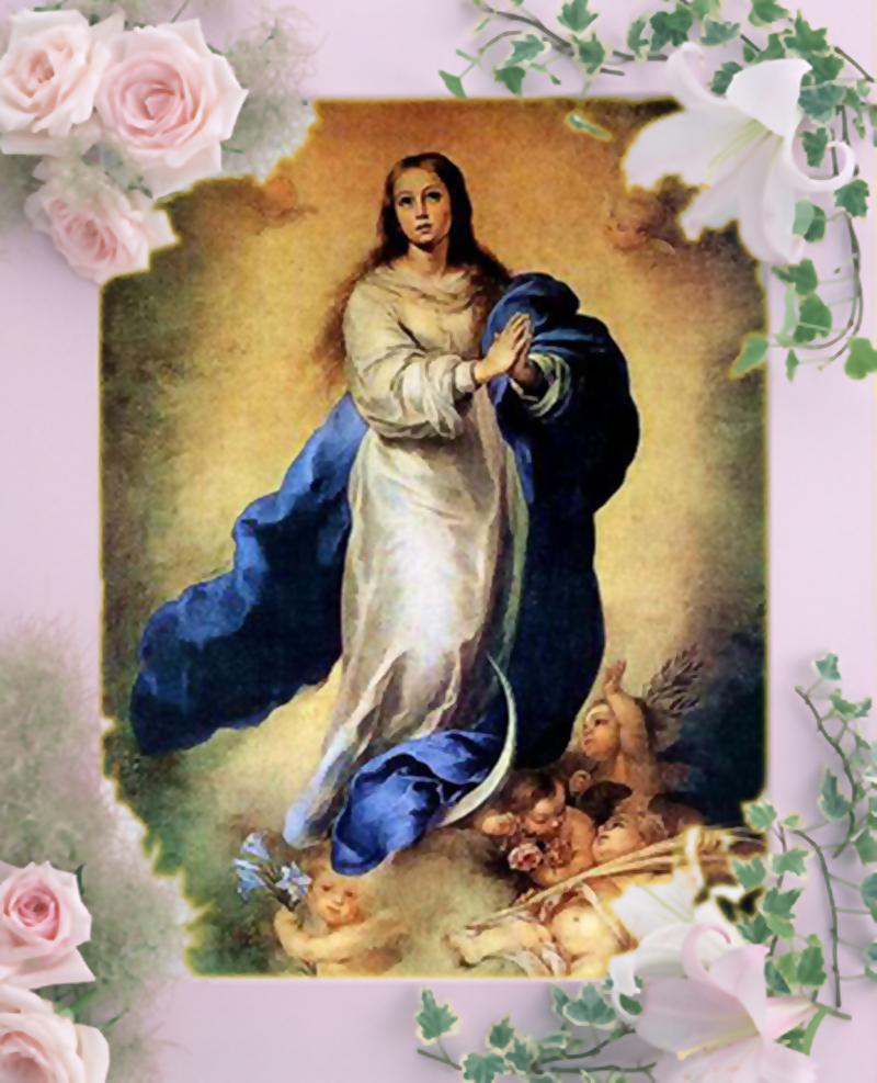 Immacolata Concezione - Vergine Maria in un santino