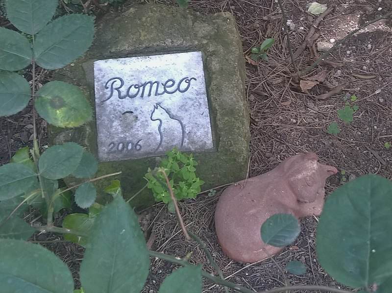 Tomba Gatto Romeo
