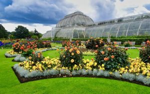 Luoghi più romantici di Londra - Botanic Gardens