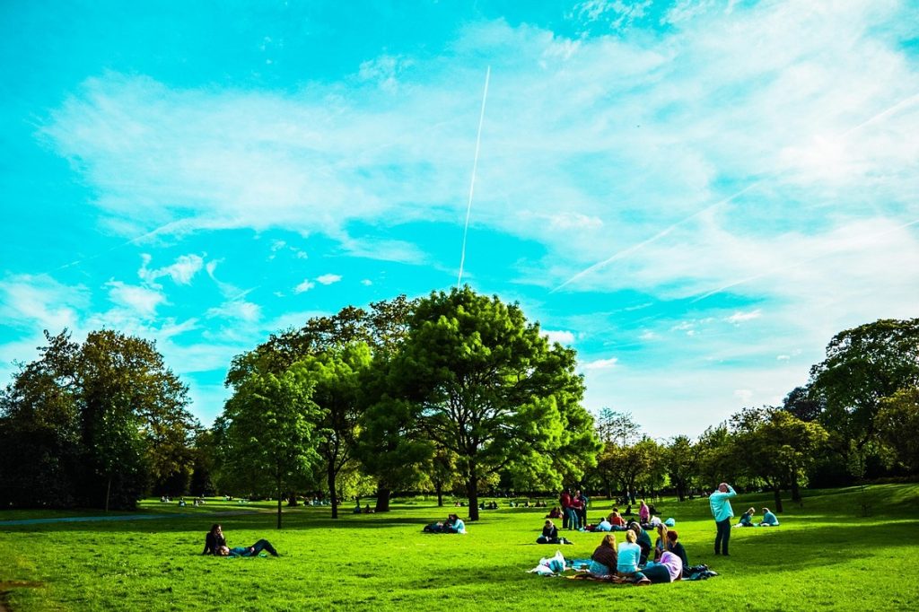 Londra Cosmopolita Parco In Estate