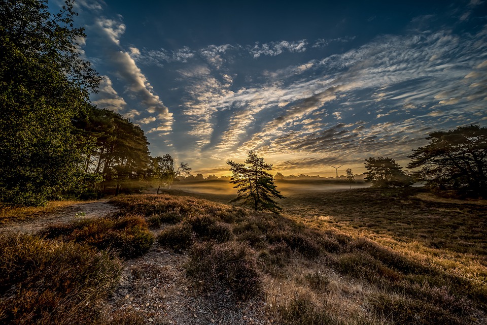 Sulle tracce delle sorelle Brontë - Brughiera in foto