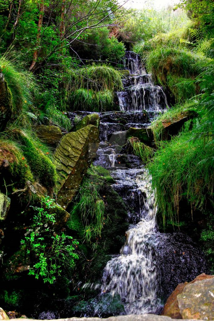 Sulle tracce delle sorelle Brontë - The Bronte Waterf in foto