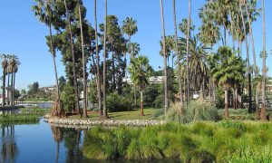parchi Los Angeles -Echo Park
