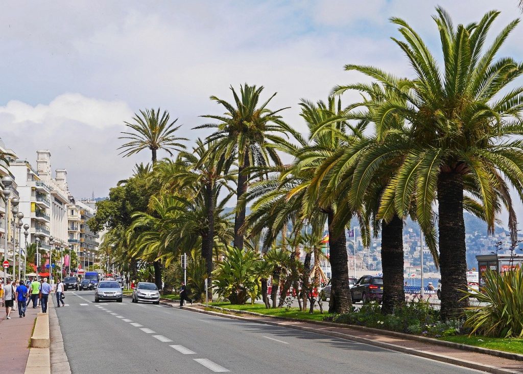 Nizza, palme lungo viale