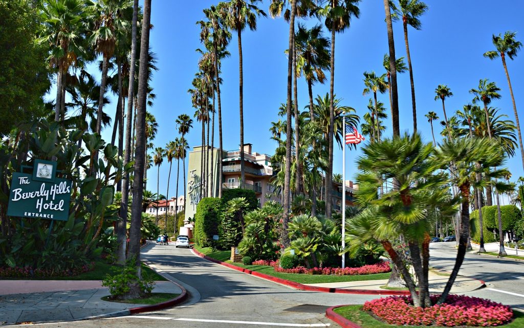 Palme lungo un viale di Beverly Hills