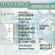 Green Card Copertina
