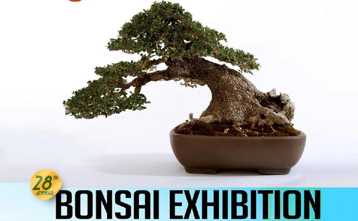 28th Annual Bonsai Exhibition itMalta