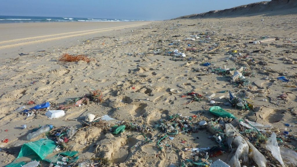 mondo più pulito: una spiaggia piena di spazzatura