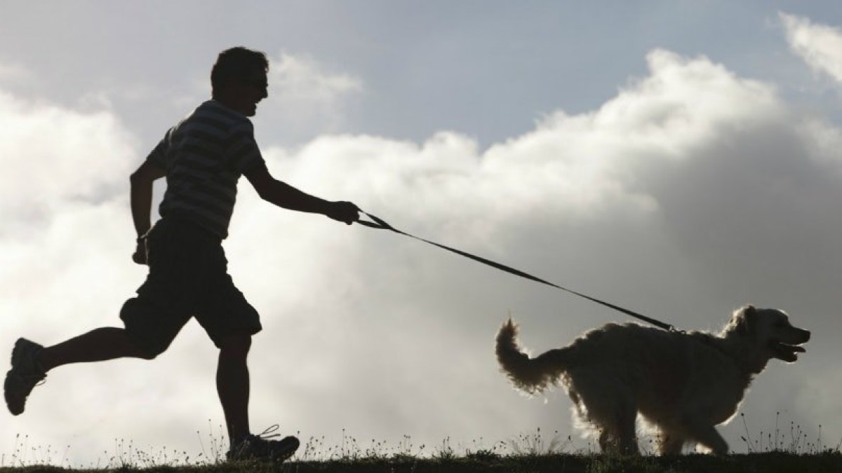 Uomo corre con un cane