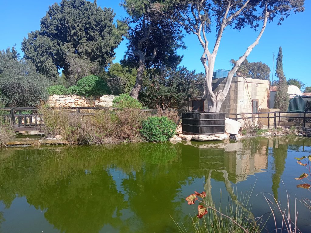 fattoria degli animali