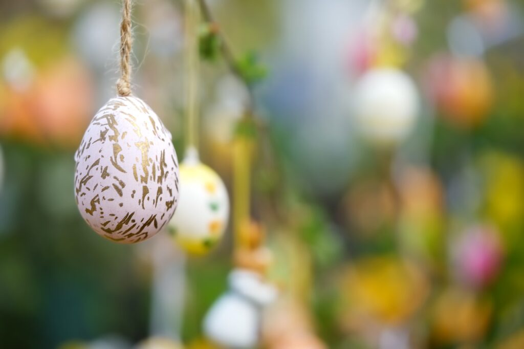 pasquetta - Colores Alegres