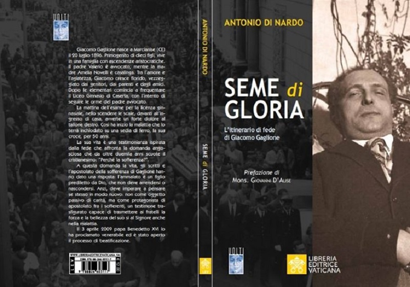 Copertina di Seme Di Gloria