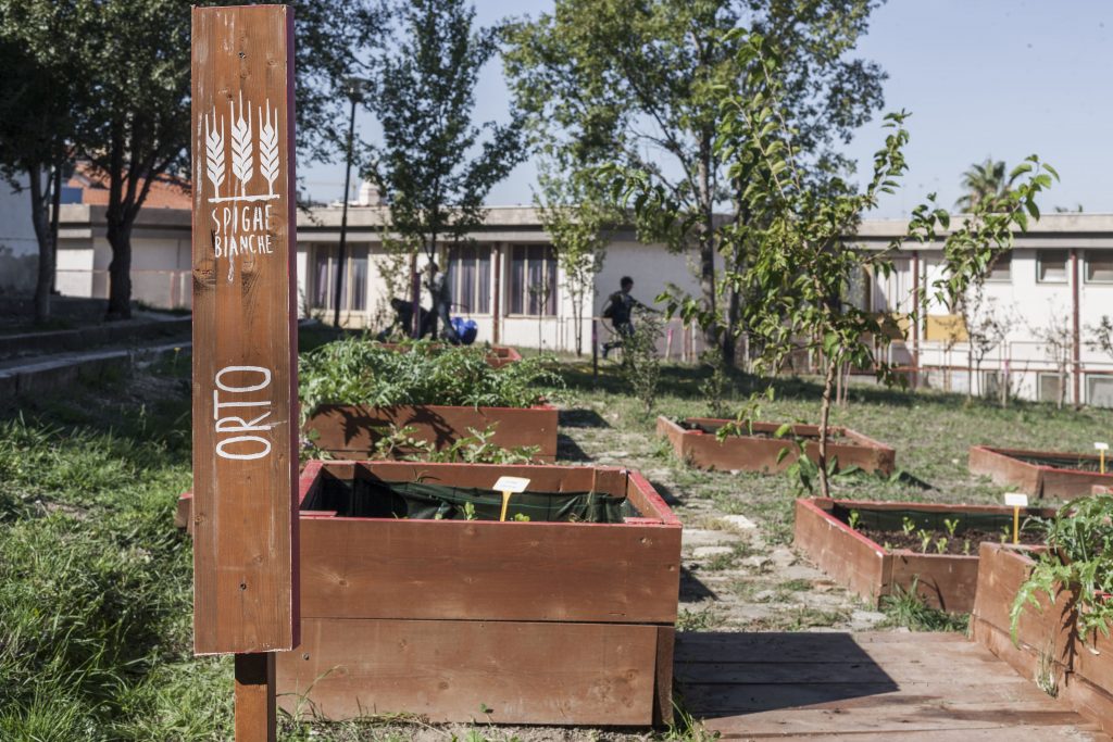 Gardentopia - uno spazio urbano dedicato a orto