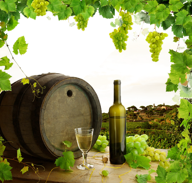 Vini lucani - Botticella Di Vino bianco