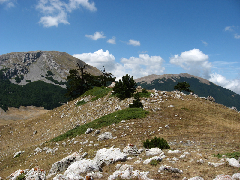 Il Parco nazionale del Pollino - Monte E Vetta