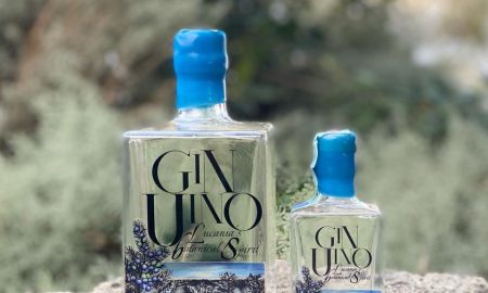 Ginunino -l bottiglia di gin