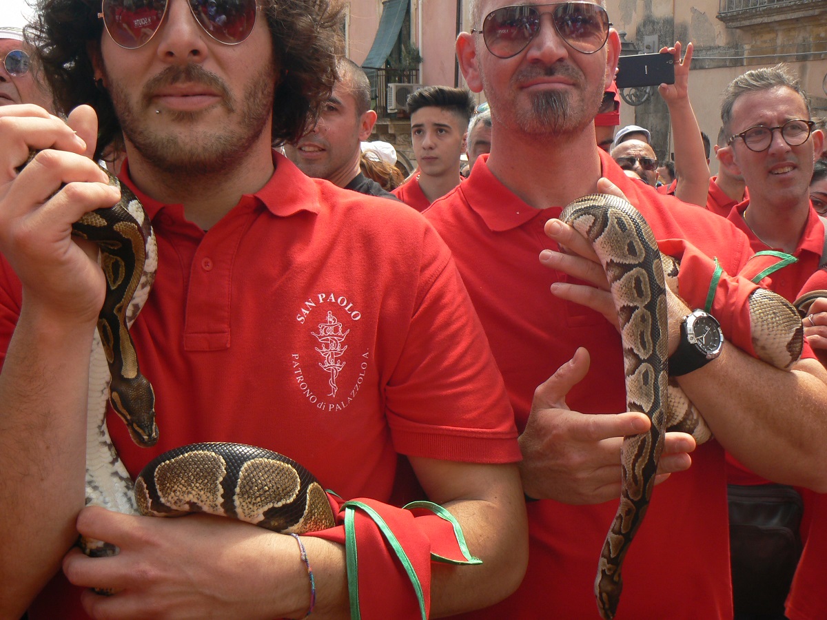San Paolo serpenti