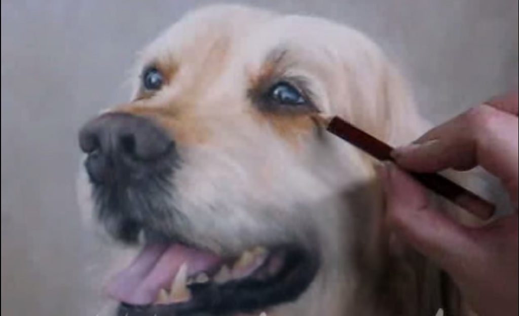 Una capitale a quattro zampe - Dipinto Di Un Cane