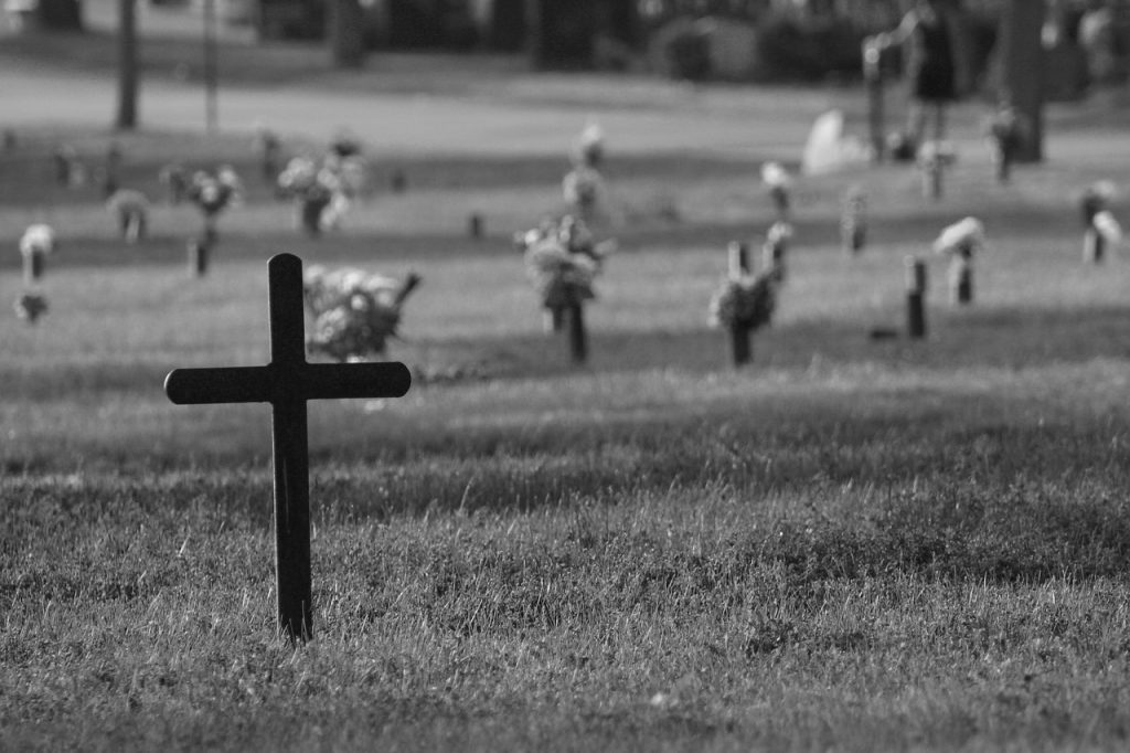 Cross 1011057 1280
