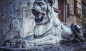 Grigio di Billiemi: i leoni di piazza Pretoria