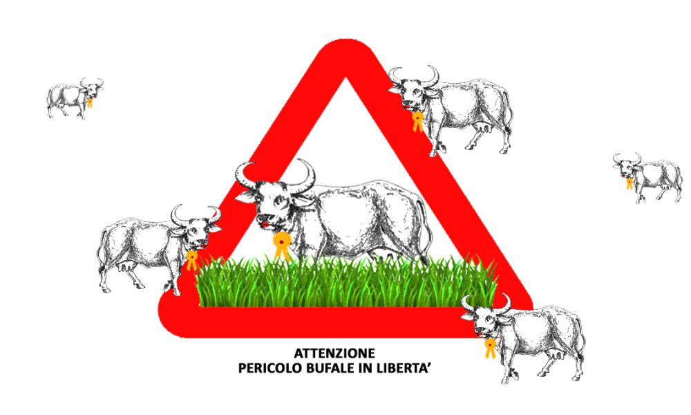 Bufale In Libertà