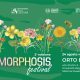 Metamorphosis Festival