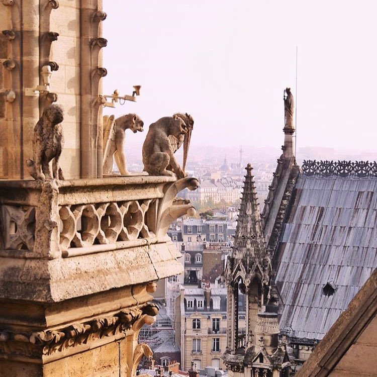Notre Dame - le statue del tetto