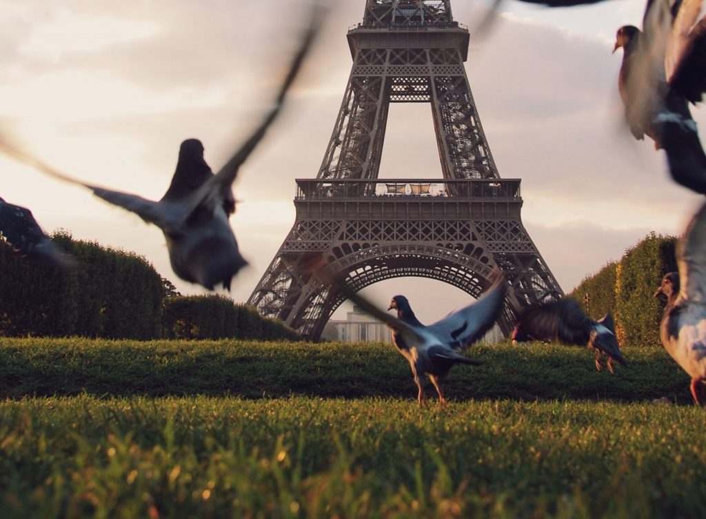 Fase 2 Parigi Tour