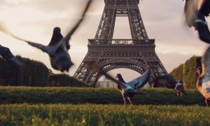 Fase 2 Parigi Tour
