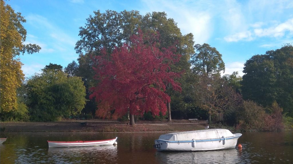 autunno a Parigi - Copertina Autunno